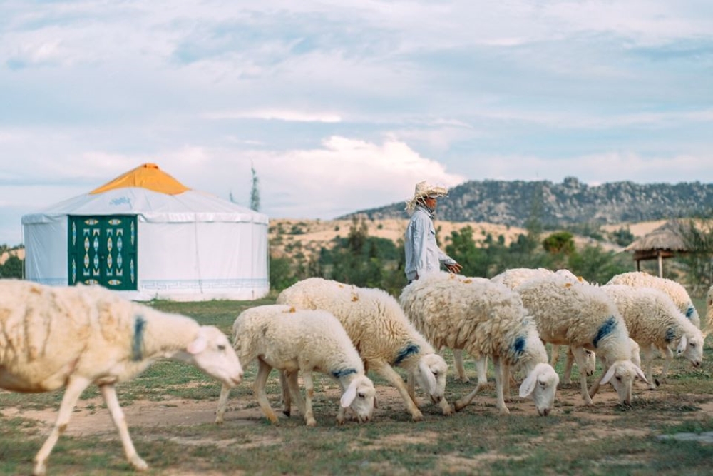 TOUR 1 NGÀY KHÁM PHÁ PHAN RANG