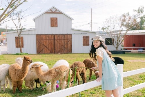 DLV.HP-05 : TOUR CHECK-IN NHỮNG ĐIỂM HOT