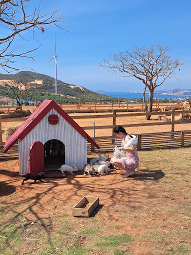 DLV.DP-06 : SUỐI TIÊN – MANGO BEACH – BÀU TRẮNG – MIAN FARM