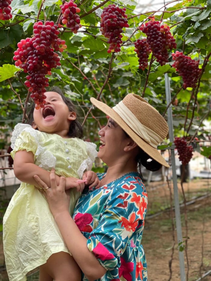 DLV.DP-02 : KÊ GÀ – BÌNH AN FARM – NOVAWORLD PHAN THIẾT