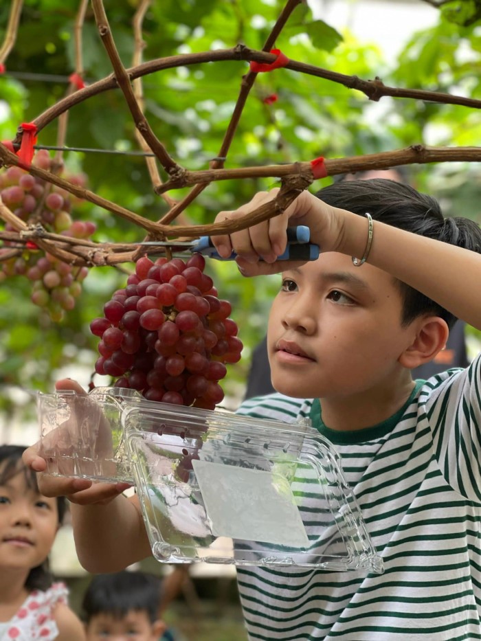 DLV.DP-02 : KÊ GÀ – BÌNH AN FARM – NOVAWORLD PHAN THIẾT