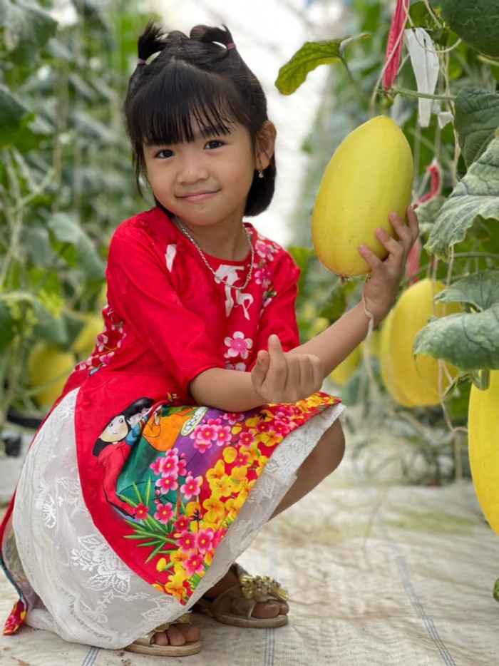 DLV.DP-02 : KÊ GÀ – BÌNH AN FARM – NOVAWORLD PHAN THIẾT