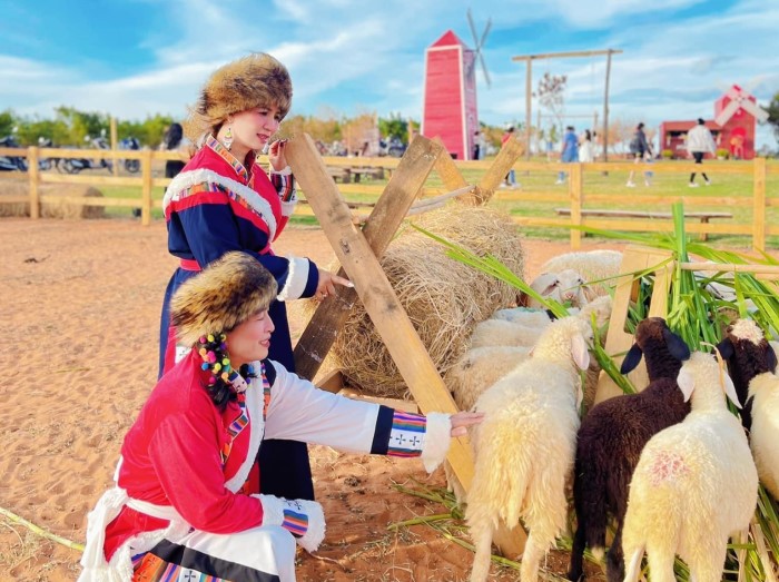 DLV.DP-06 : SUỐI TIÊN – MANGO BEACH – BÀU TRẮNG – MIAN FARM