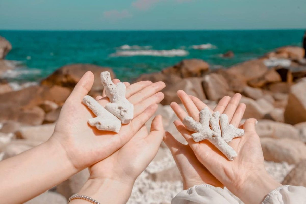 DLV.G-12 : TOUR VỊNH VĨNH HY