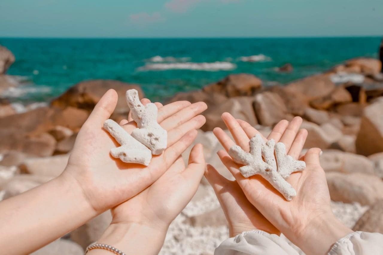 DLV.G-11: ĐỒNG CỪU – VƯỜN NHO – VĨNH HY – HANG RÁI