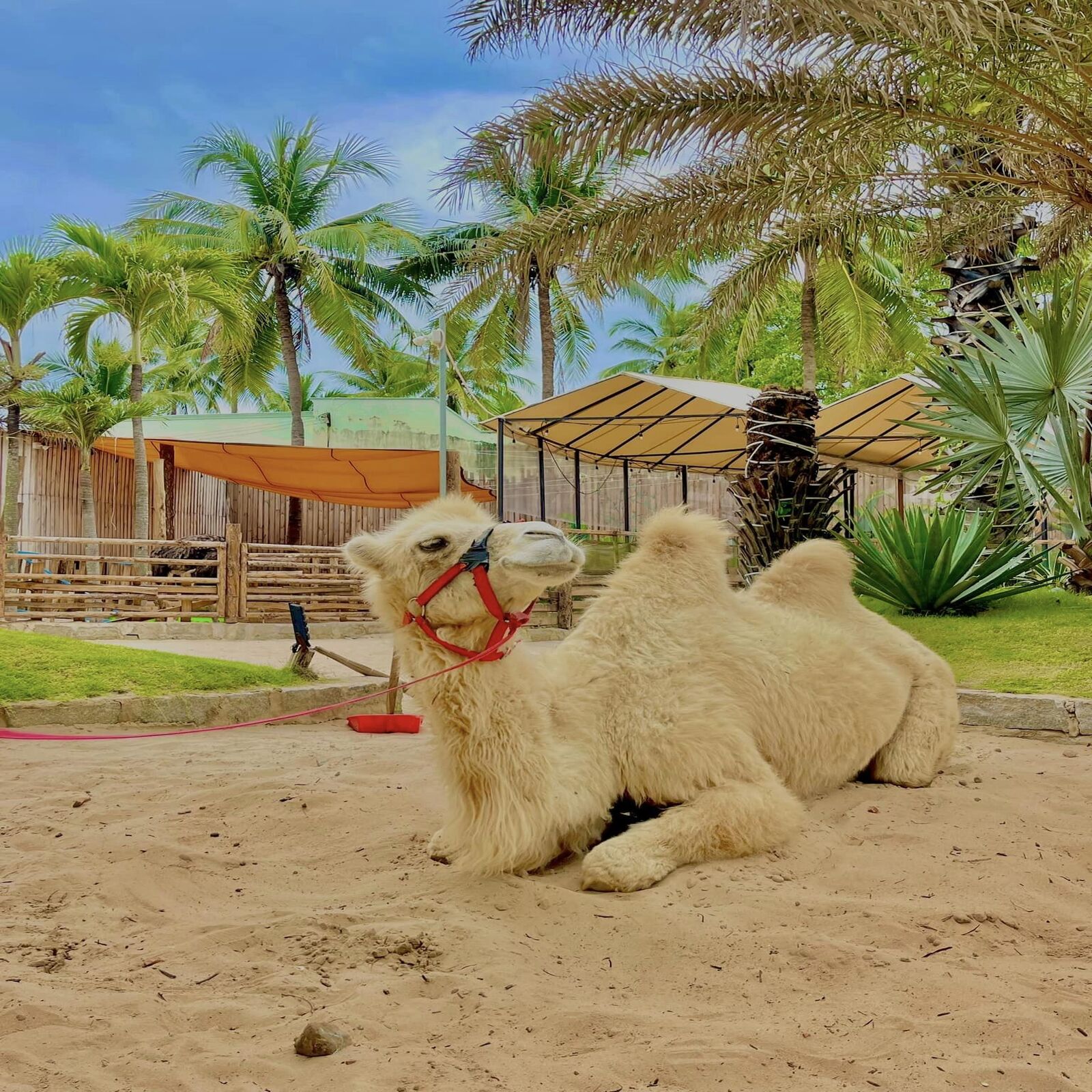 DLV.DP-06 : SUỐI TIÊN – MANGO BEACH – BÀU TRẮNG – MIAN FARM