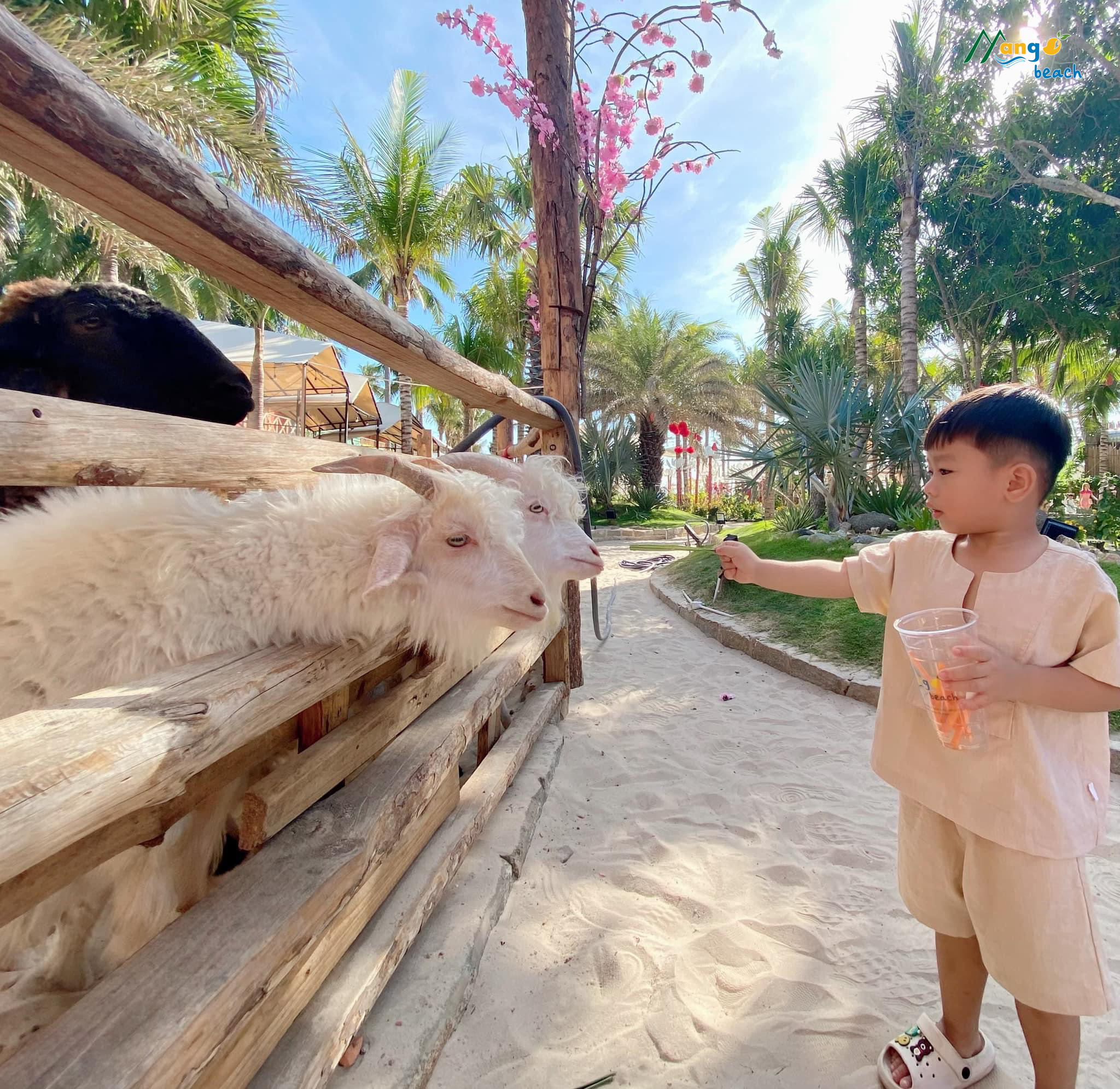 DLV.DP-06 : SUỐI TIÊN – MANGO BEACH – BÀU TRẮNG – MIAN FARM