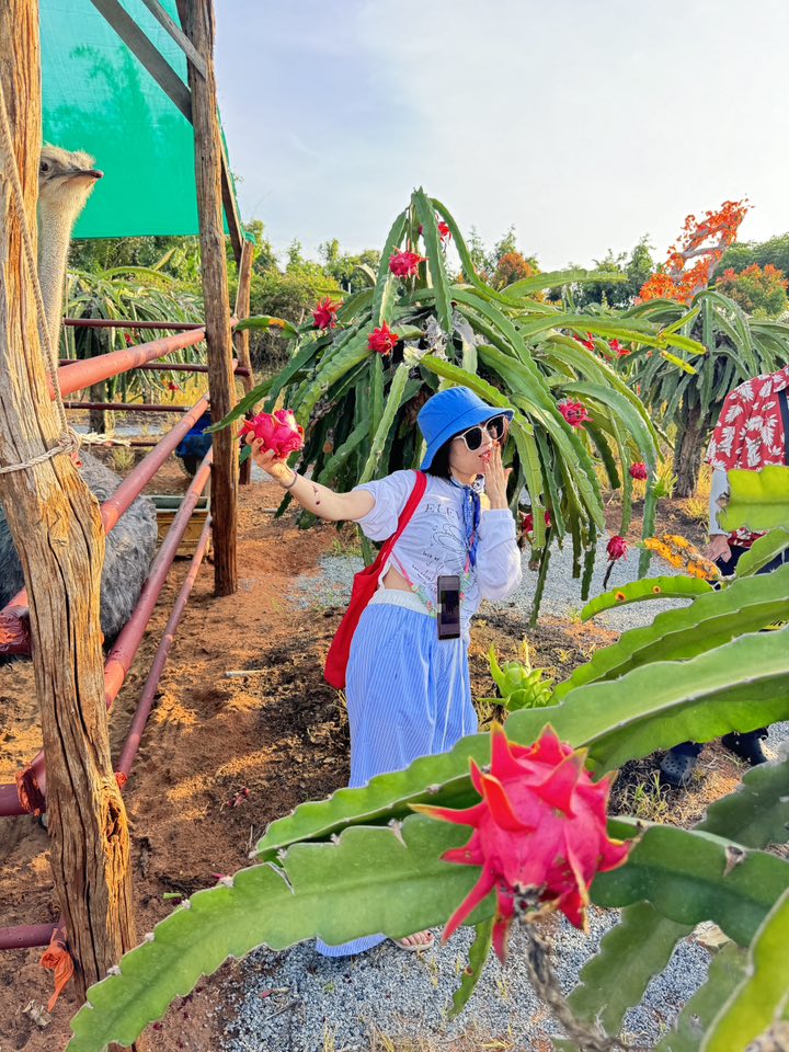 DLV.DP-04 : DI TÍCH DỤC THANH-BÀU TRẮNG-VYVY FARM