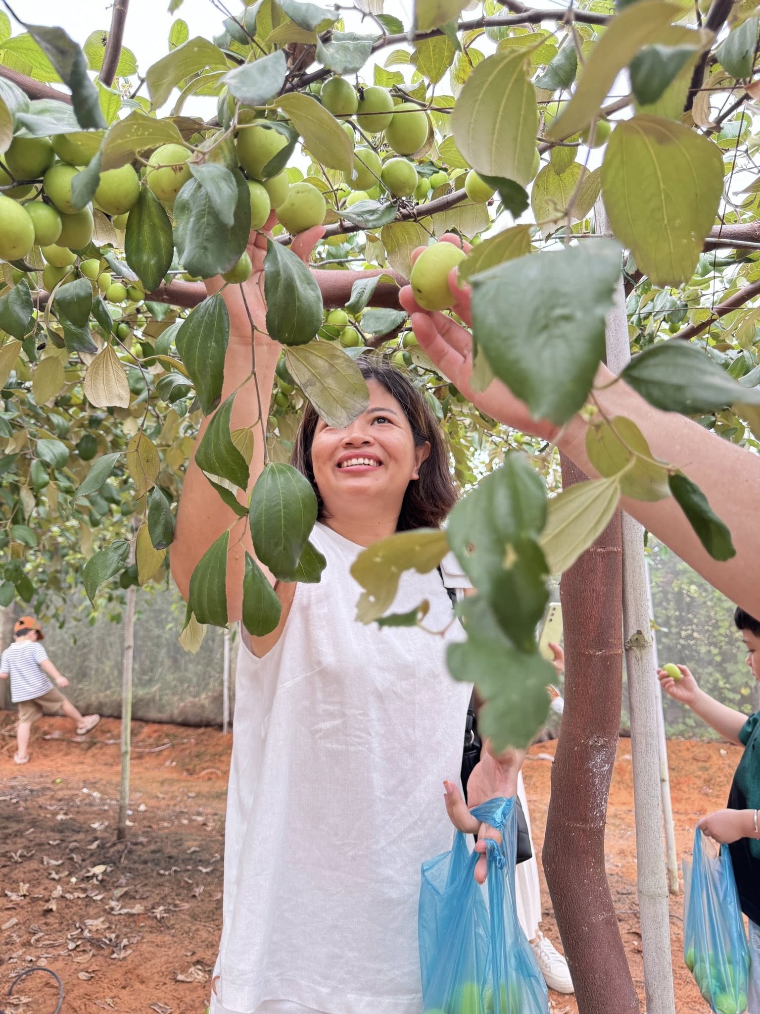 DLV.DP-04 : DI TÍCH DỤC THANH-BÀU TRẮNG-VYVY FARM