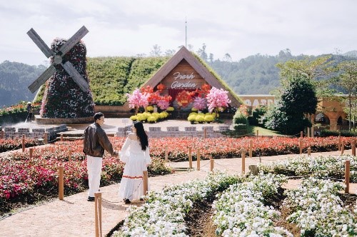 DLV.HP-04 : TOUR KHÁM PHÁ ĐỊA ĐIỂM MỚI 2025