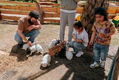 DLV.HP-04 : TOUR KHÁM PHÁ ĐỊA ĐIỂM MỚI 2025