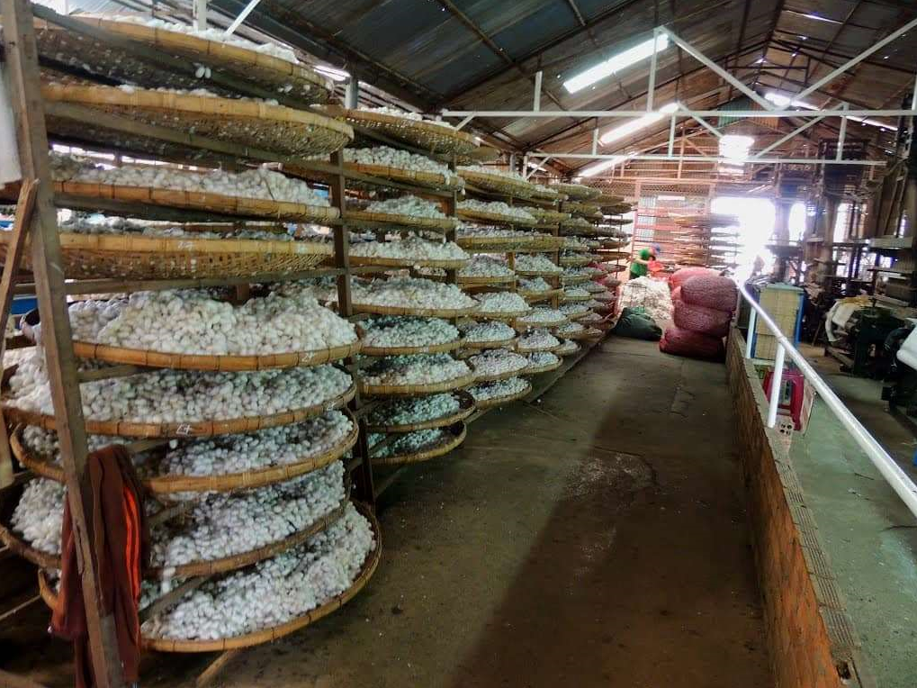 DLV.HP-02 : TOUR NGOẠI THÀNH ĐÀ LẠT