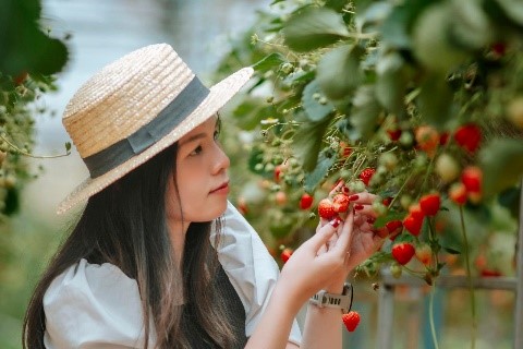 DLV.HP-04 : TOUR KHÁM PHÁ ĐỊA ĐIỂM MỚI 2025