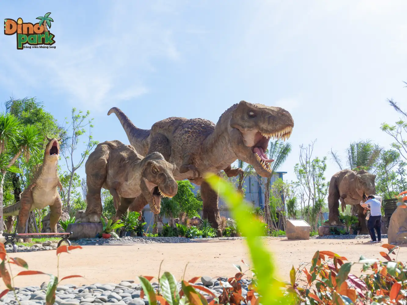 DLV.DP-02 : KÊ GÀ – BÌNH AN FARM – NOVAWORLD PHAN THIẾT