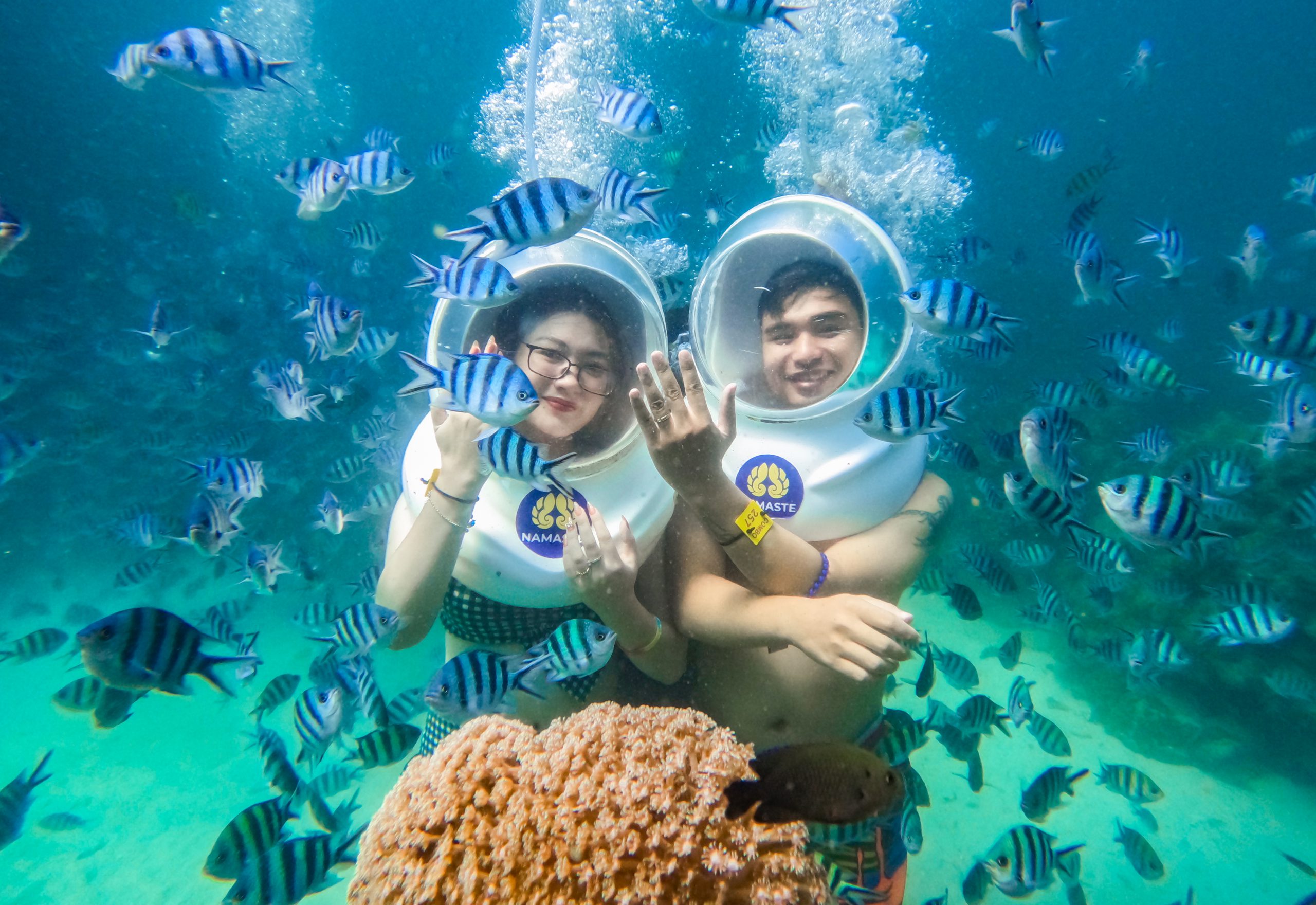 DLV.KM-25: TOUR ĐI BỘ DƯỚI ĐÁY BIỂN SEWARKING