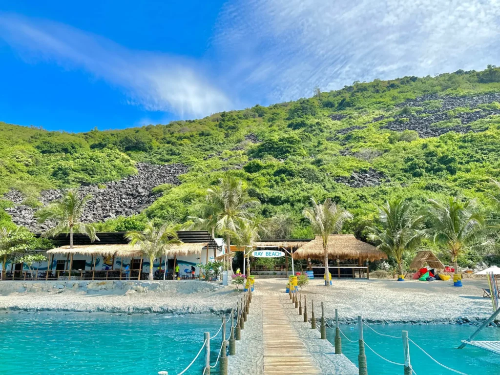 DLV.G-18 : TOUR ROBINSON