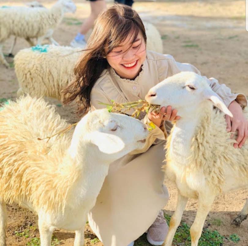 Tour Ghép 1 Ngày Ở Phan Rang: Khám phá thiên nhiên - Văn hóa - Ẩm thực