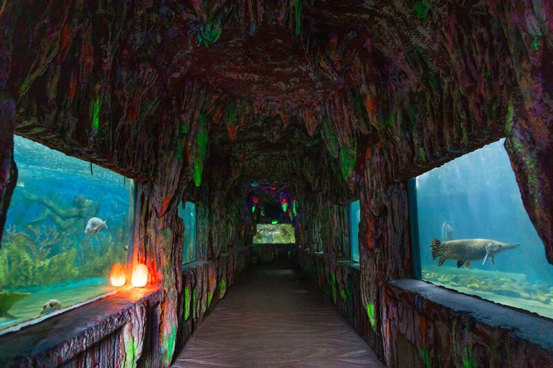 DLV.KM-21 : TOUR 4 ĐẢO