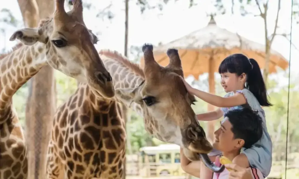 DLV.DP-02 : KÊ GÀ – BÌNH AN FARM – NOVAWORLD PHAN THIẾT