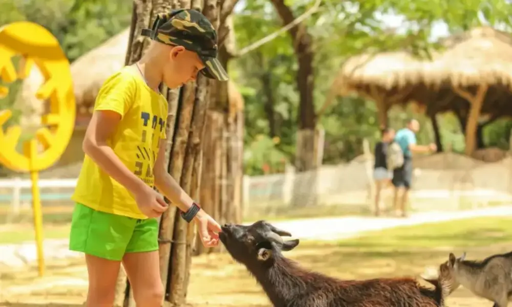 DLV.DP-02 : KÊ GÀ – BÌNH AN FARM – NOVAWORLD PHAN THIẾT