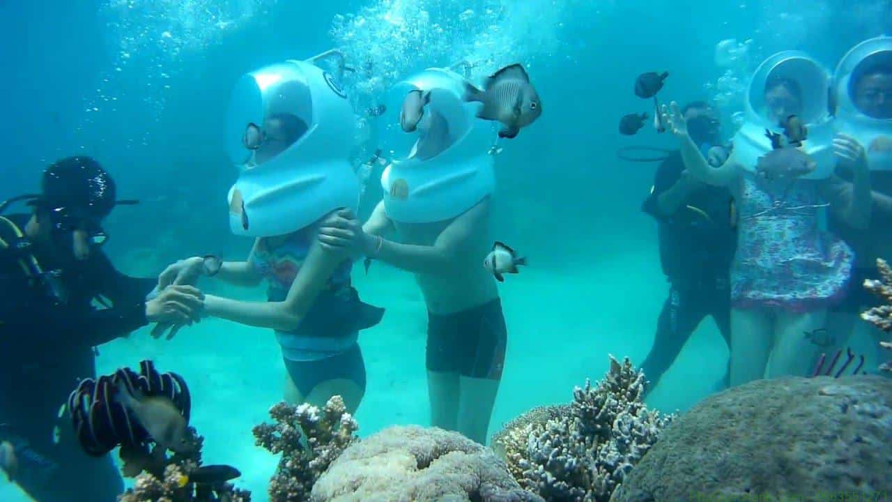 DLV.KM-25: TOUR ĐI BỘ DƯỚI ĐÁY BIỂN SEWARKING