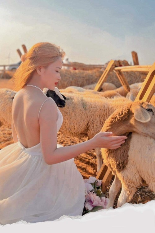 DLV.DP-06 : SUỐI TIÊN – MANGO BEACH – BÀU TRẮNG – MIAN FARM