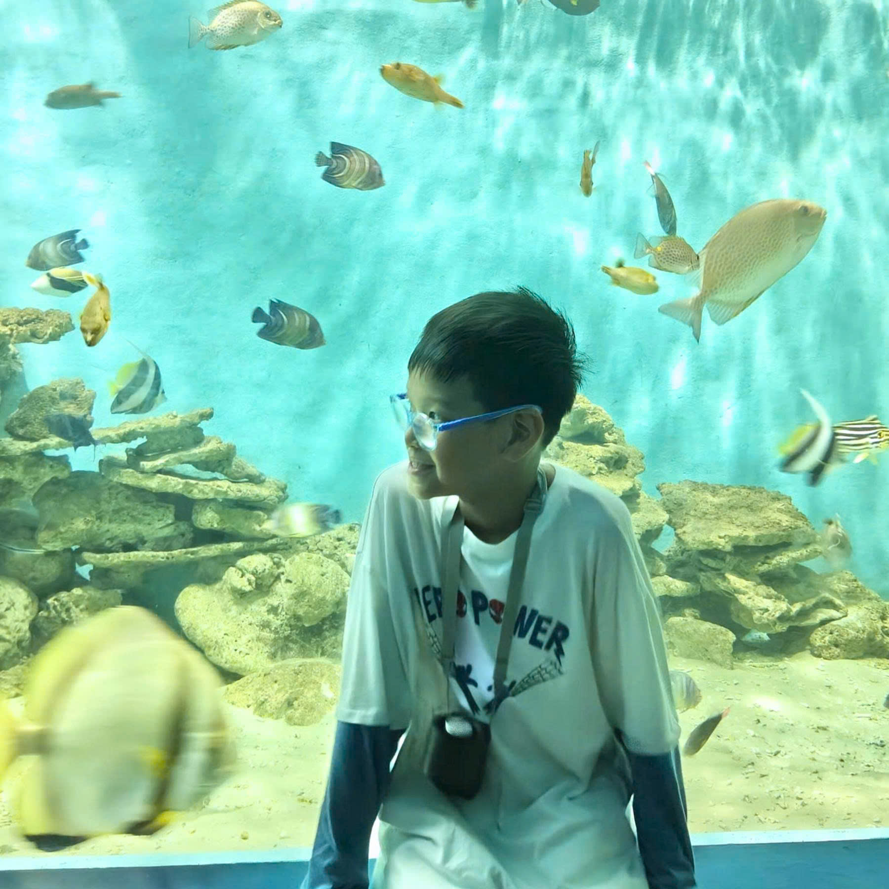 DLV.G-17 : TRẢI NGHIỆM CITY TOUR NHA TRANG