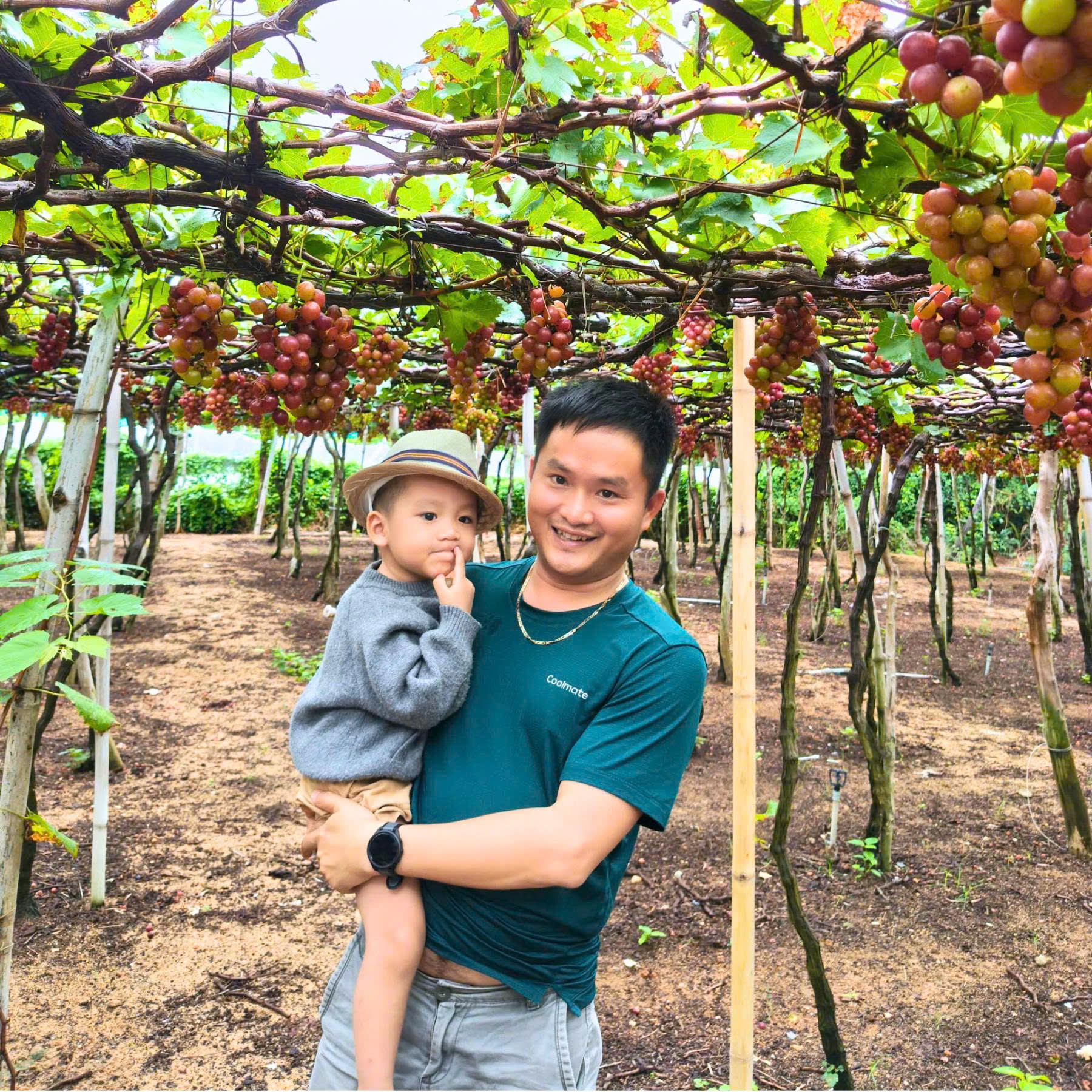 DLV.G-11: ĐỒNG CỪU – VƯỜN NHO – VĨNH HY – HANG RÁI