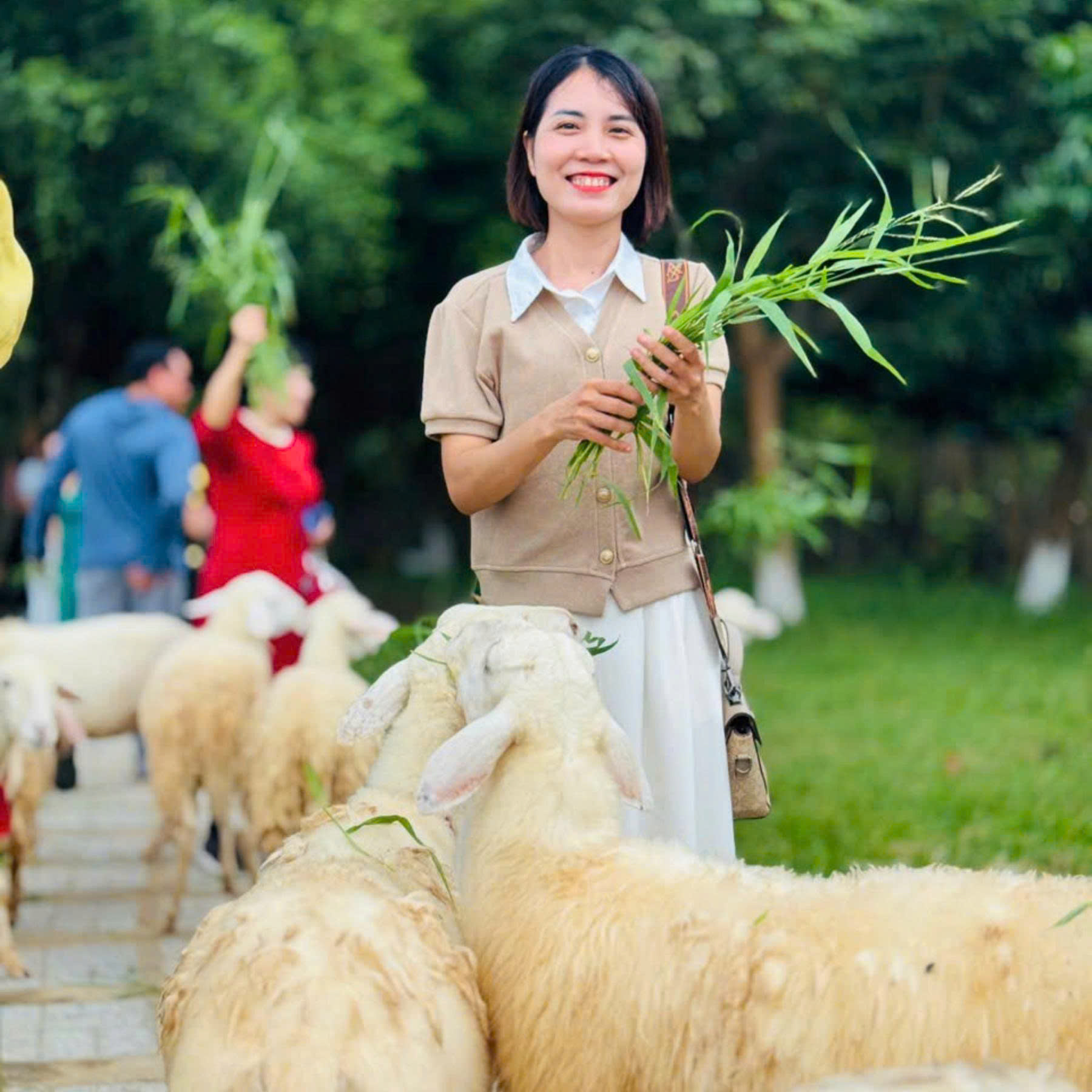 Tour Đồng Cừu - Vĩnh Hy - Vườn Nho - Hang Rái