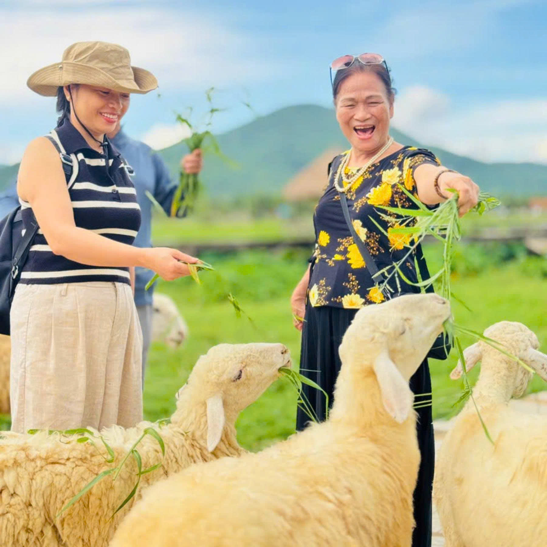 DLV.G-11: ĐỒNG CỪU – VƯỜN NHO – VĨNH HY – HANG RÁI