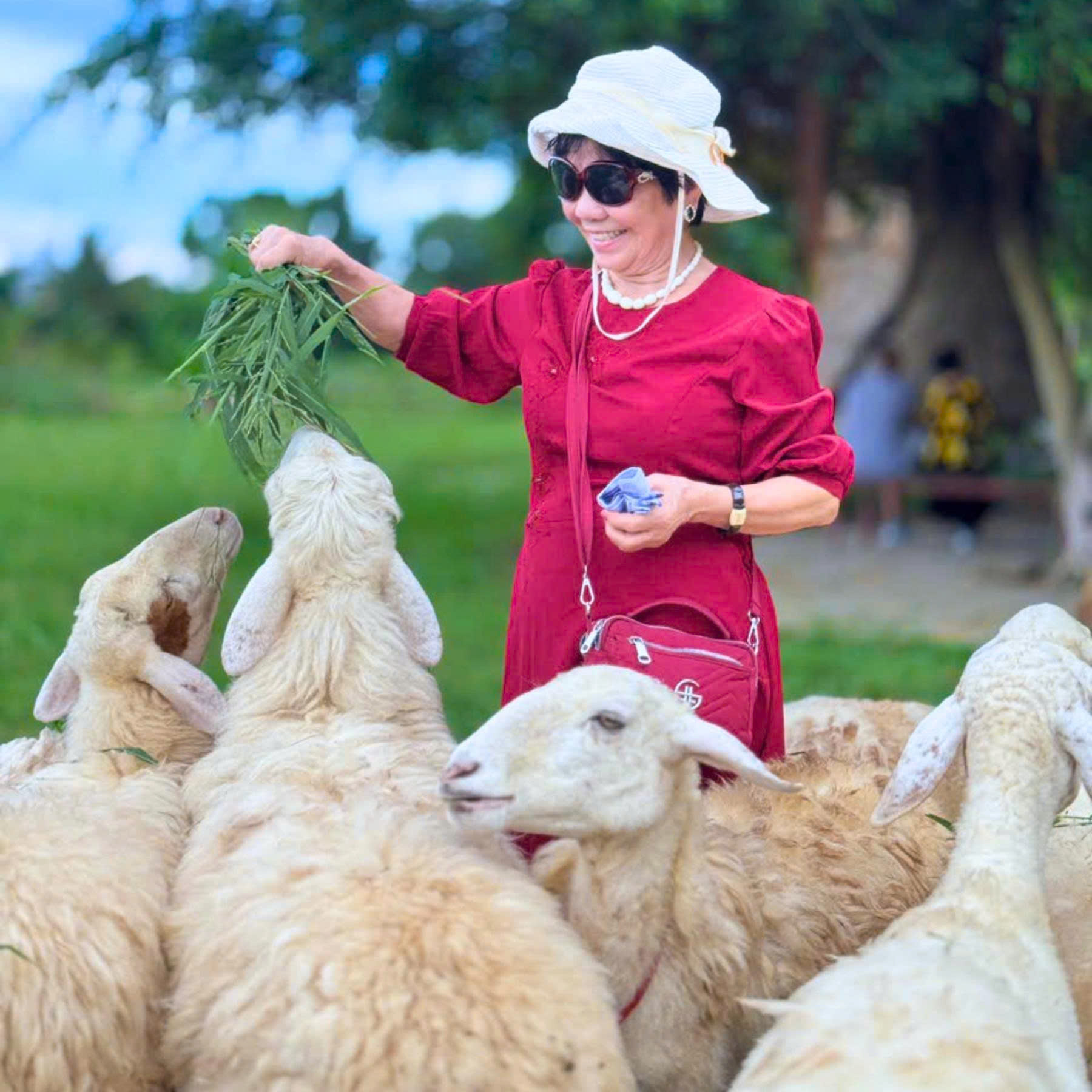 DLV.G-11 : TOUR NHA TRANG – NINH THUẬN