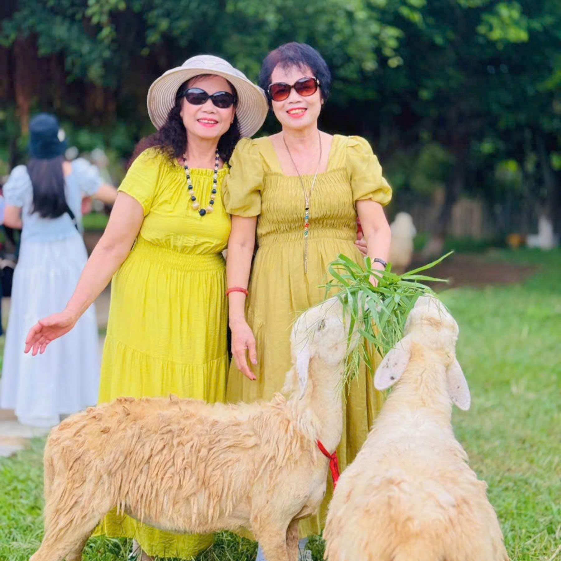 DLV.G-11 : TOUR NHA TRANG – NINH THUẬN