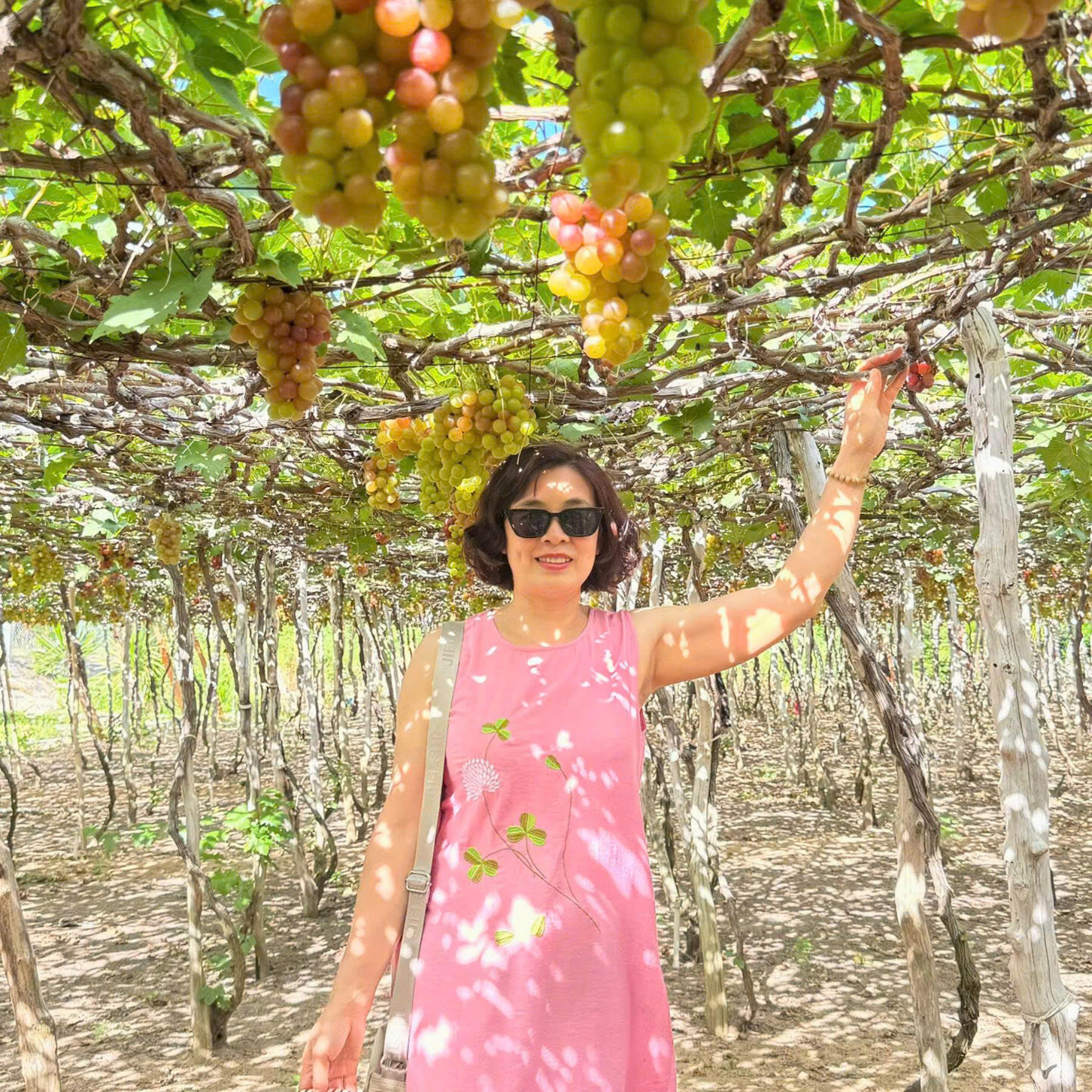 DLV.G-11 : TOUR NHA TRANG – NINH THUẬN